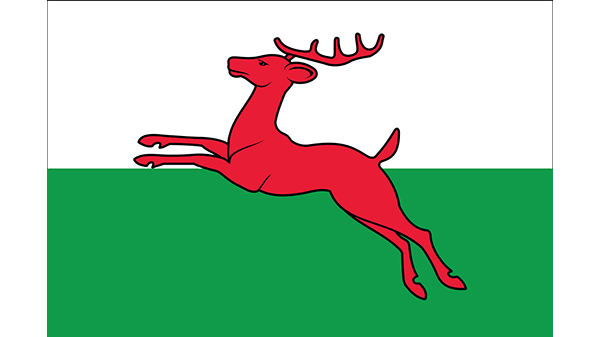 Vlag gemeente Drachten - in kleur op transparante achtergrond - 600 * 337 pixels 